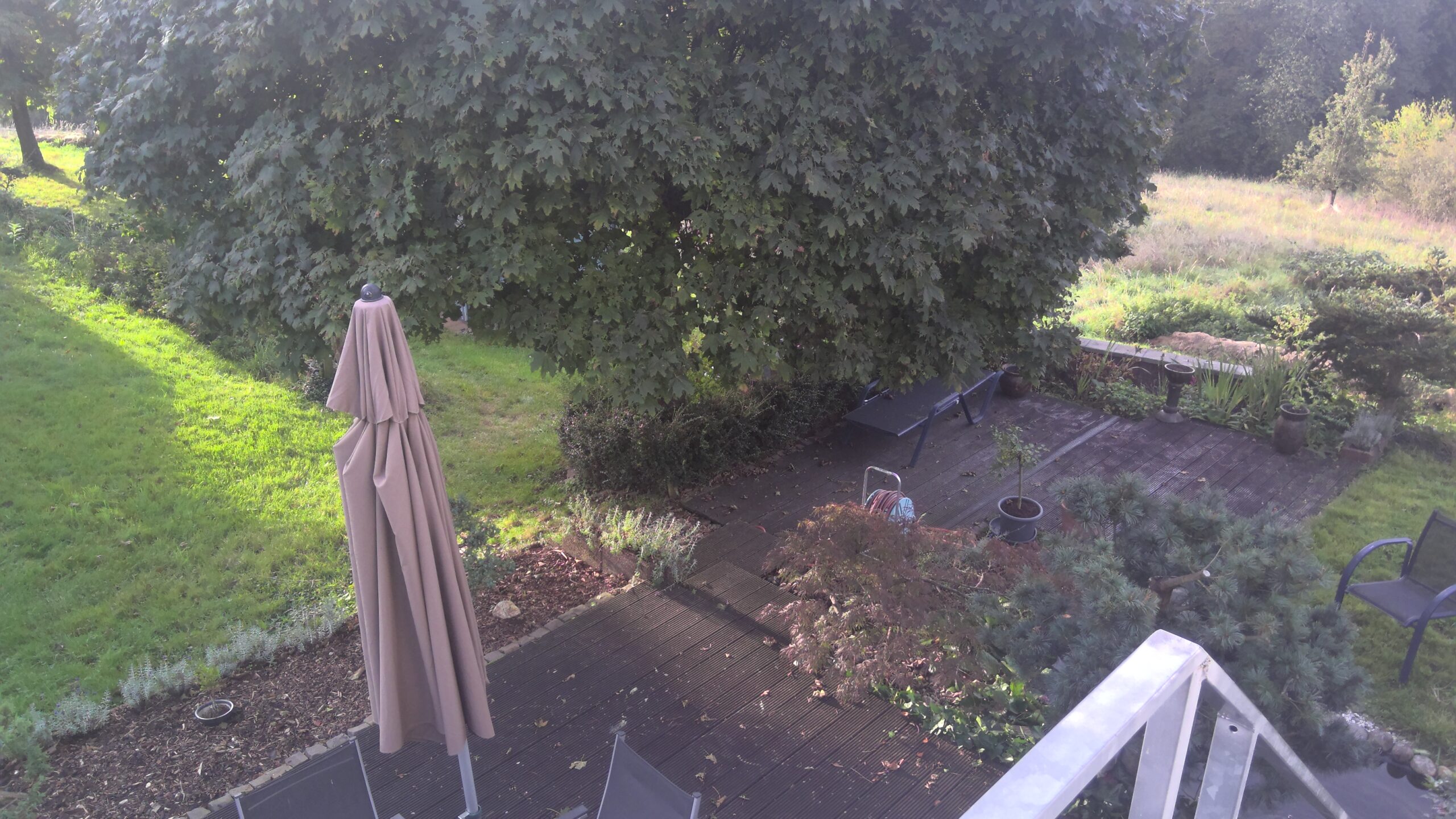 So sah man den Garten, wenn man aus dem Wohnzimmer über die Treppe nach unten ging. Schlitzahorn und Kugelahorn sind hier gut zu sehen. Das Beet links mit den kleinen Lavendelpflanzen ist die vierte Grenze des Umbaus.